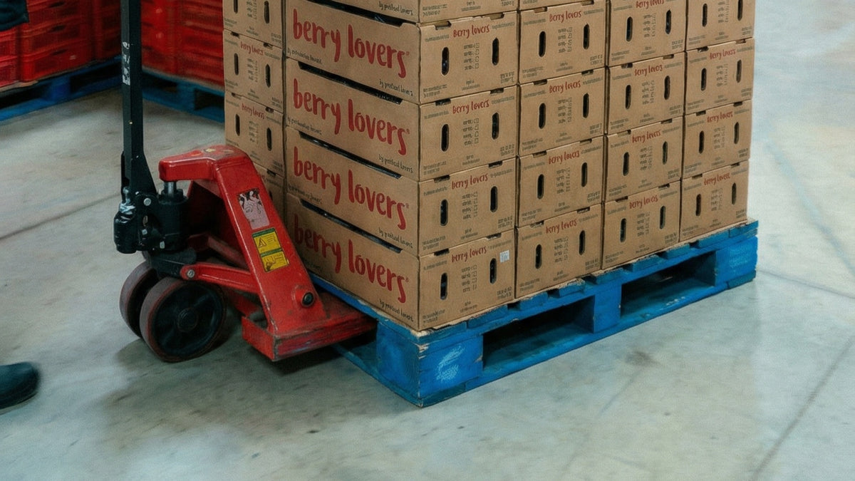 Growth Partner B2B — Produce Lovers — distribución y operación de planta · seleccion-aprobada-2026-09-08 · horizontal 2/6