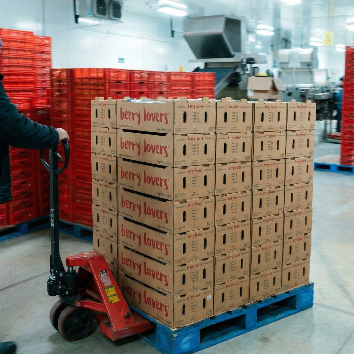 Growth Partner B2B — Produce Lovers — escala logística · seleccion-aprobada-2026-09-08 · cuadrada 2/4