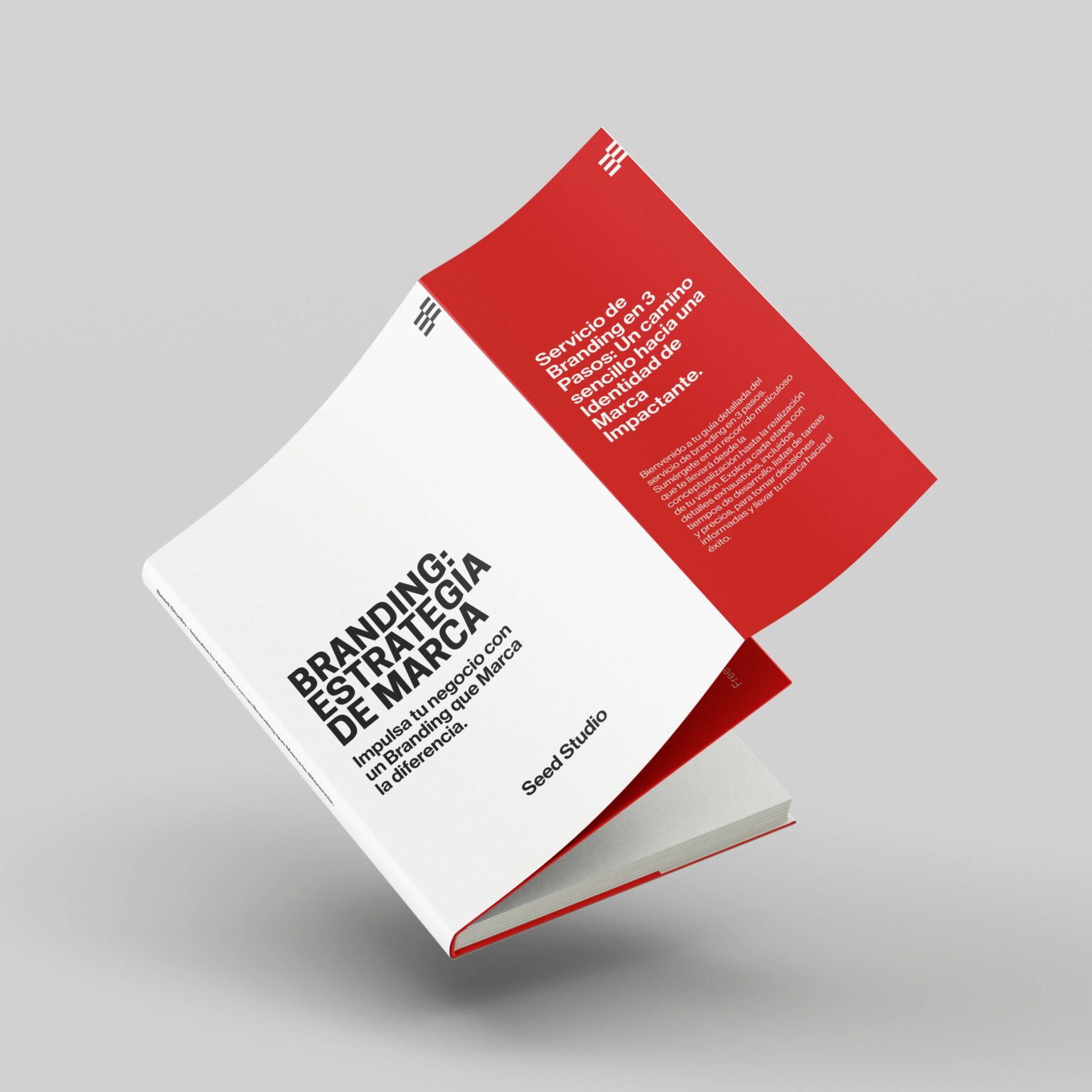 folleto-branding-book-2