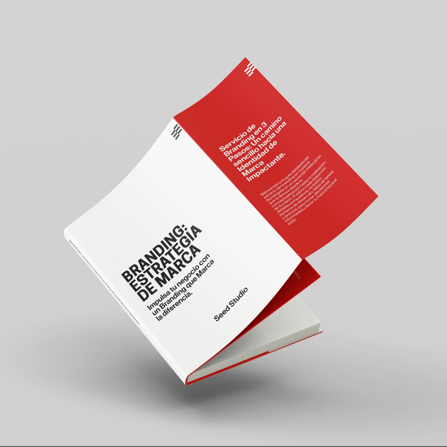 folleto-branding-book-2